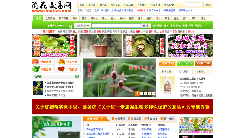 China Orchid Trading Network - Orchid Auction, Orchid Images, and Orchid Friend Interaction on Our Orchid Network